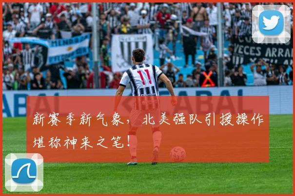 新赛季新气象，北美强队引援操作堪称神来之笔！