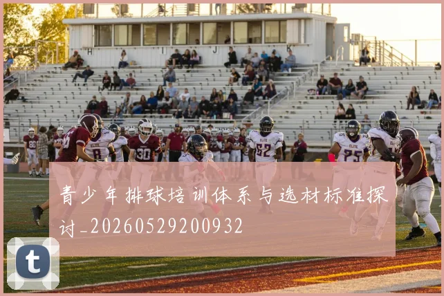 青少年排球培训体系与选材标准探讨_20260529200932