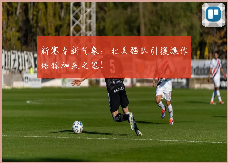 新赛季新气象，北美强队引援操作堪称神来之笔！